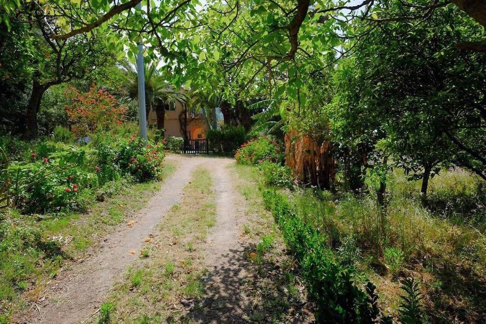 Residenza Crivo Aparthotel Parghelia Luaran gambar