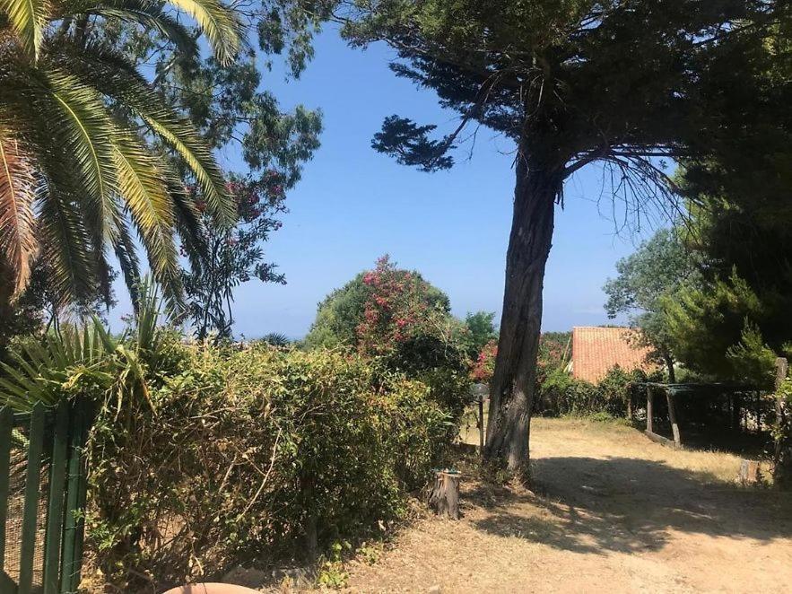 Residenza Crivo Aparthotel Parghelia Luaran gambar